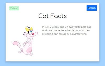 How to Create Cat Fact application Using Free Api
