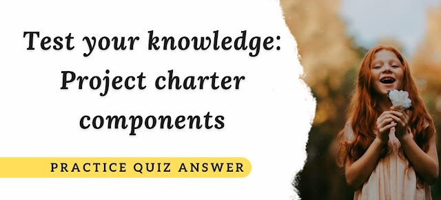 Test your knowledge Project charter components Practice Quiz Answer