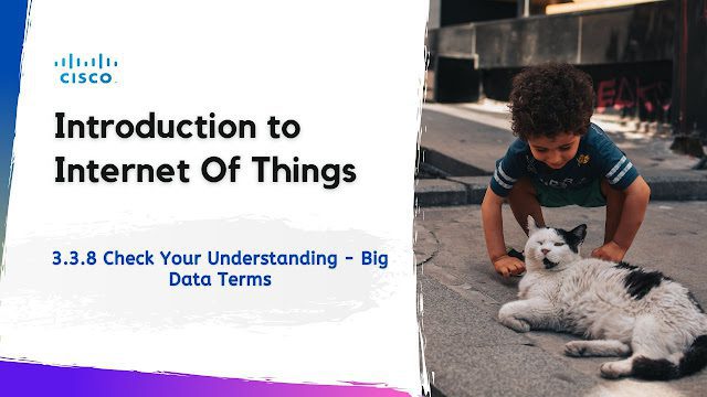 3.3.8 Check Your Understanding – Big Data Terms